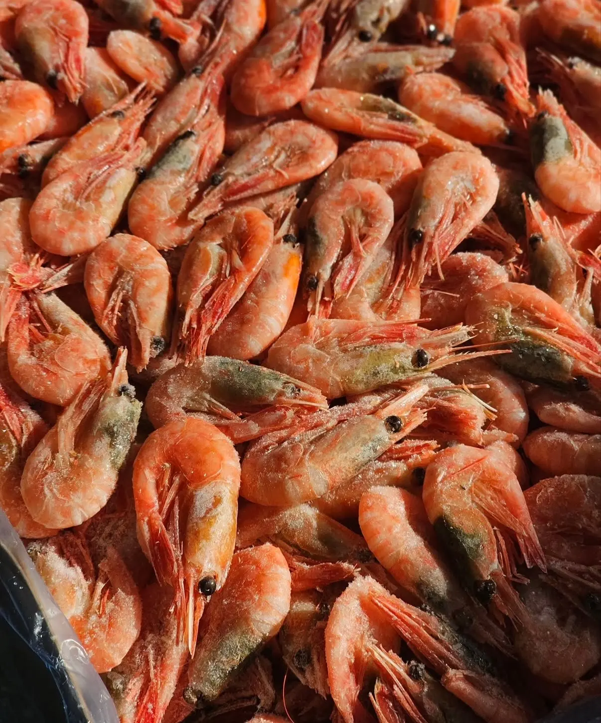 Креветки 150+ 5 кг — фото 1